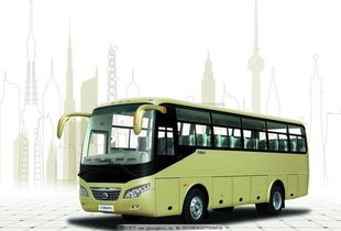 六個(gè)汽車?yán)渲R,想必很多人都不全知道